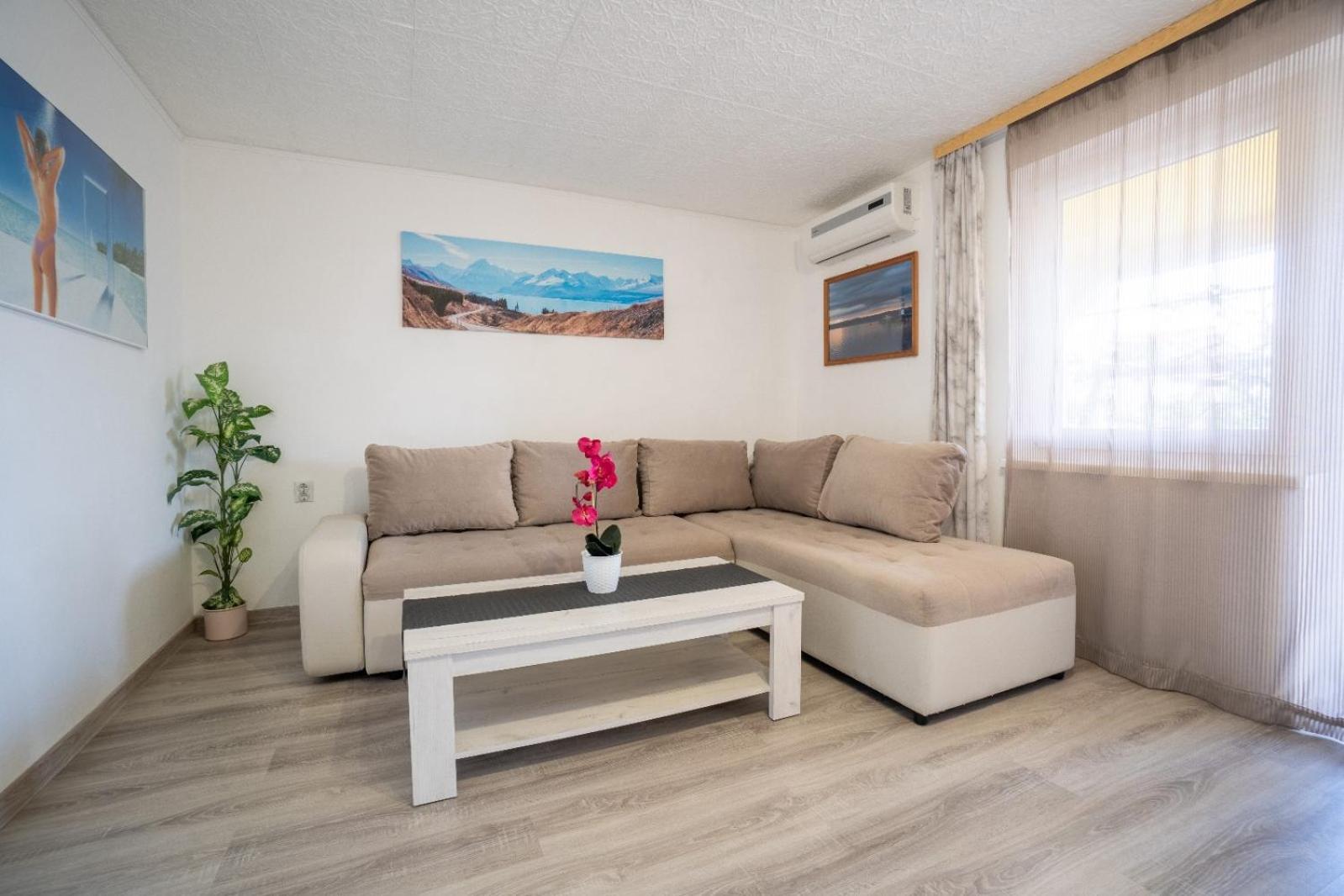 Apartments Pavic Vir Exterior photo