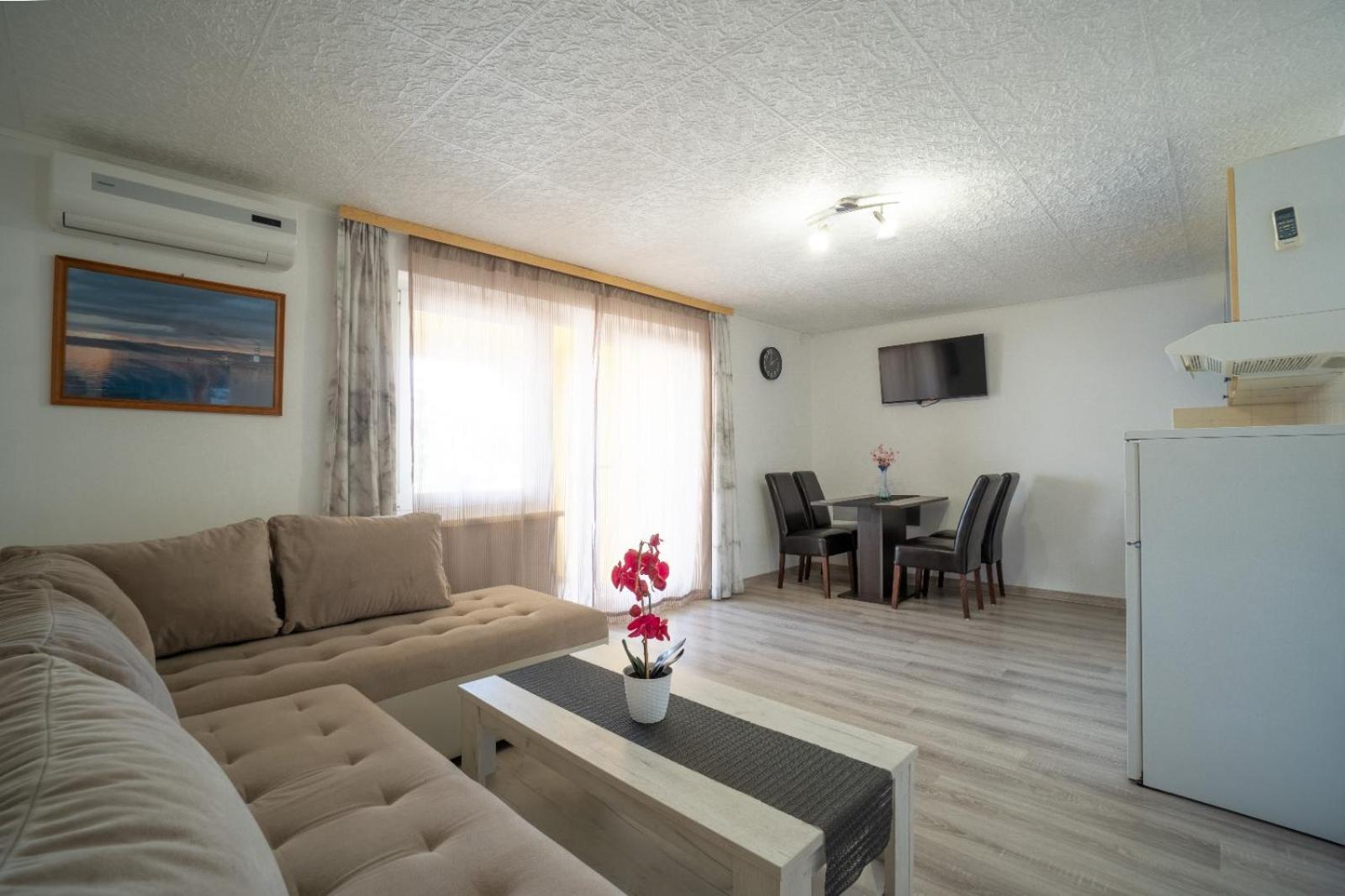 Apartments Pavic Vir Exterior photo